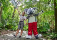 Blinky Bills Rookie Ranger Station Photo From Currumbin Sanctuary Website