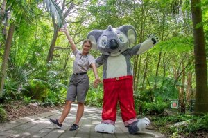 Blinky Bills Rookie Ranger Station Photo From Currumbin Sanctuary Website