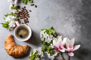 Mothers Day Southern Gold Coast Accommodation Where To Go For The Perfect Getaway Mothers Day Southern Gold Coast Accommodation Where To Go For The Perfect Getaway