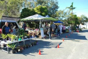 Palm Beach Ave Pop Up Market