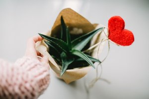 Photo By Daria Shevtsova From Pexels Photo By Daria Shevtsova From Pexels