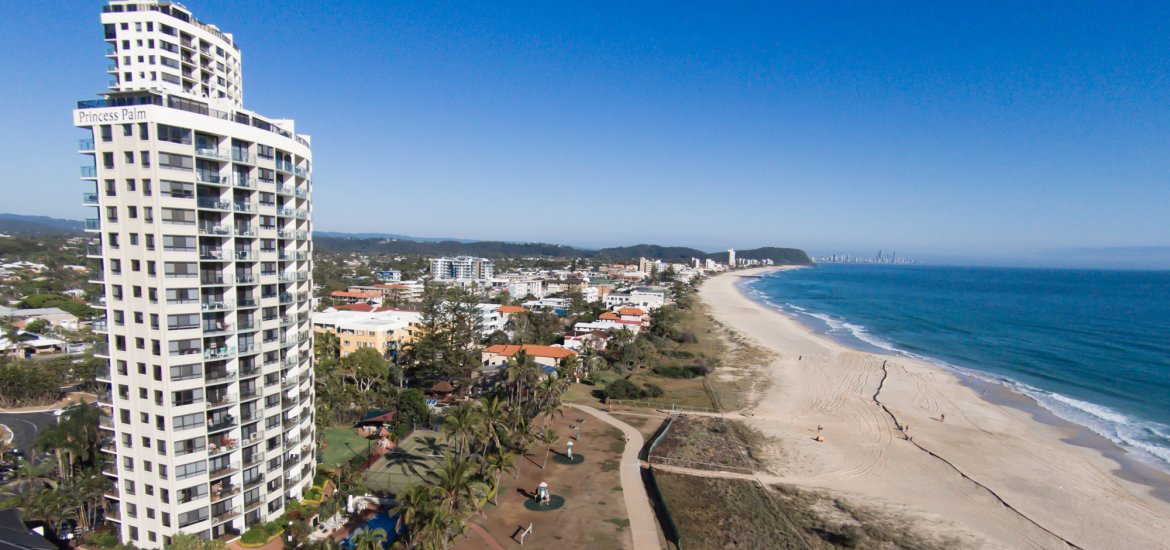 Pricess Palms Aerial 3 1