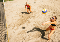 Sports Events Tours You Can Do On The Gold Coast